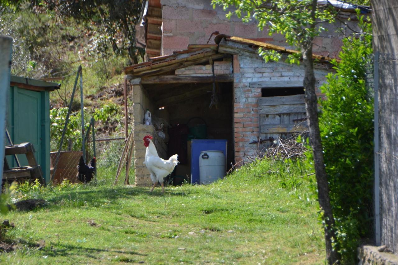 Affittacamere La Fornace Rigomagno Exteriér fotografie
